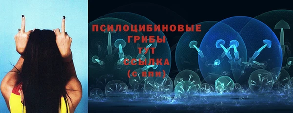 шишки Армянск