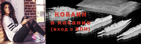 кокс Арсеньев