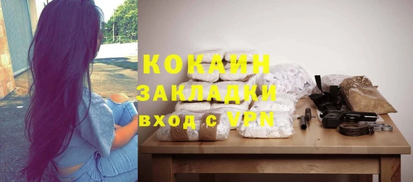 шишки Армянск