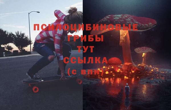 кокс Арсеньев